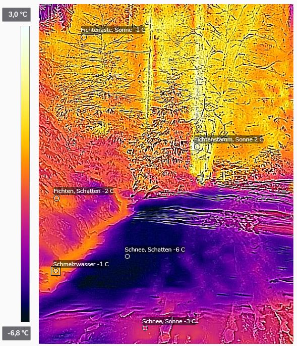 Thermografie Waldrand